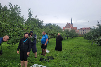 Śliwkowe zbiory w Opactwie Benedyktynów w Lubiniu