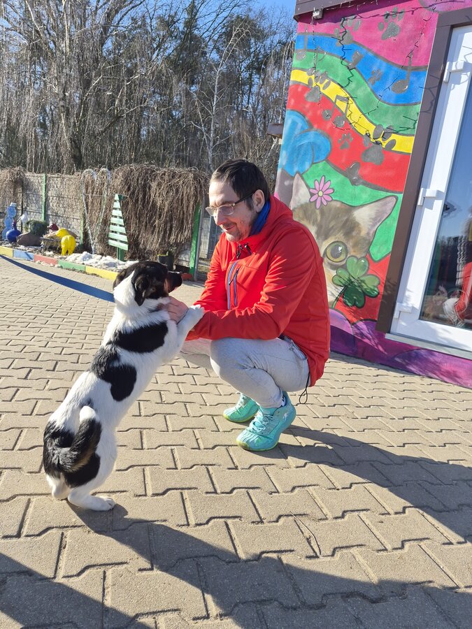 Wizyta w schronisku w Gaju