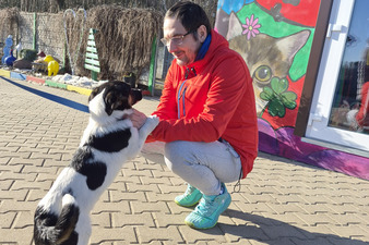 Wizyta w schronisku w Gaju